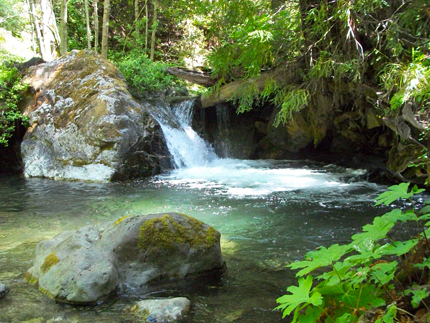 Big Sur waterfall