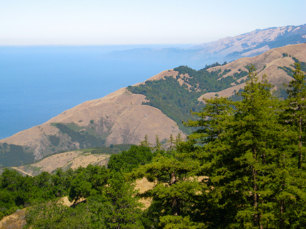 Big Sur coast