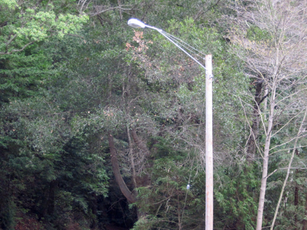 Light pole