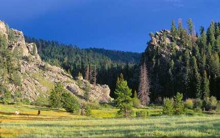 Vallecitos Canyon Ranch