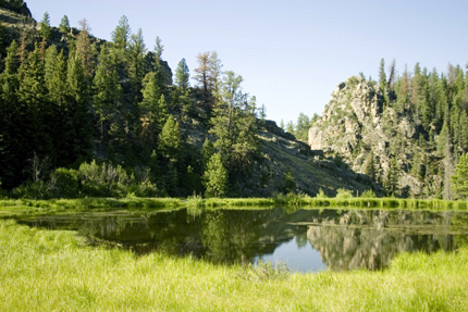 Vallecitos Canyon Ranch Pond